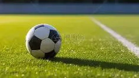 【双色球26011期揭秘】精准定胆：勇闯01 15号码之旅！