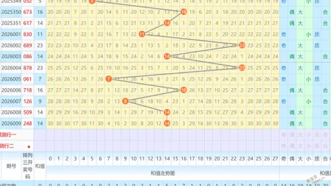 【丹江老张独家揭秘】大乐透016期绝密定胆攻略：惊喜号码06、20、23等你来揭晓！